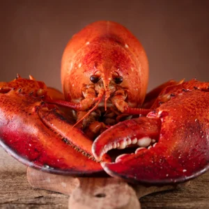 Lobster