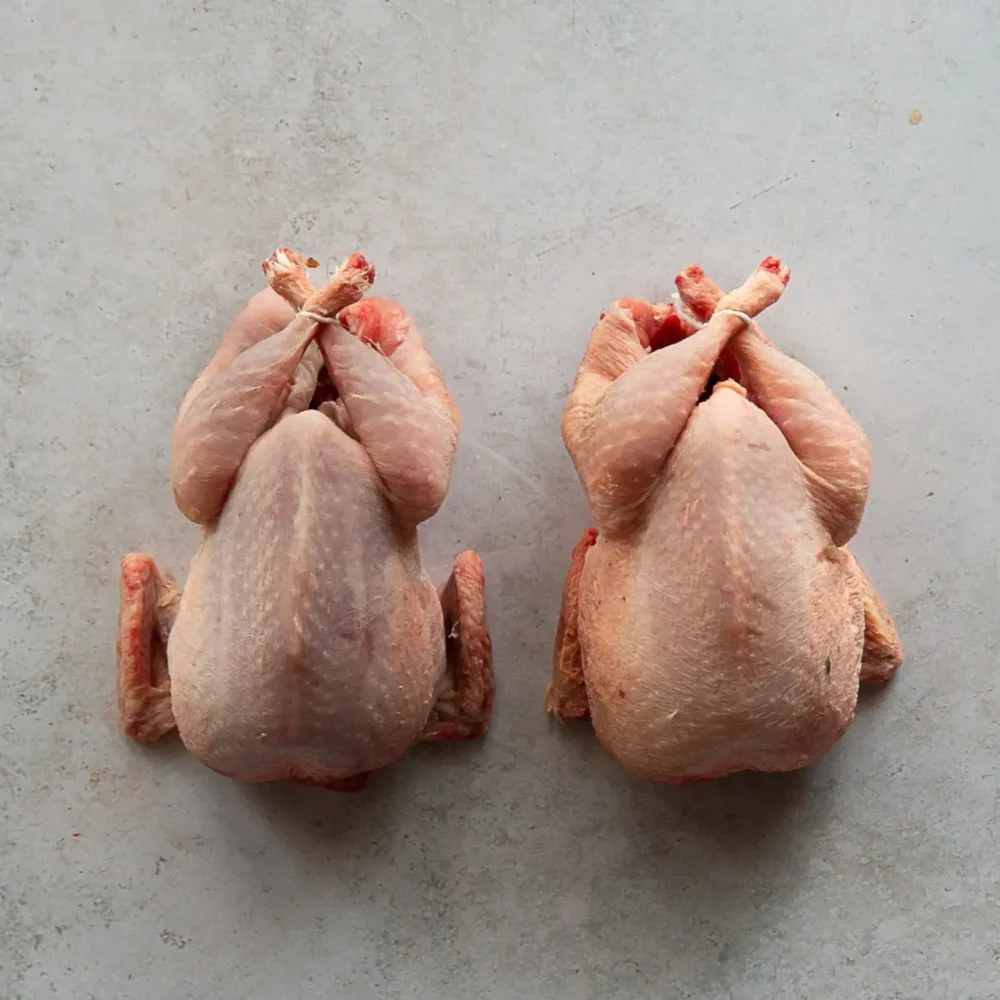 BRACE OF ROYALE QUAIL