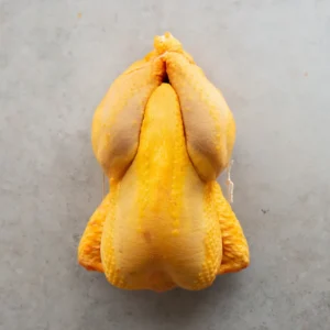 POULET LANDES ARNAUD TAUZIN