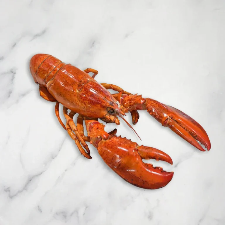 Cooked Lobster, Frozen, +/-350g