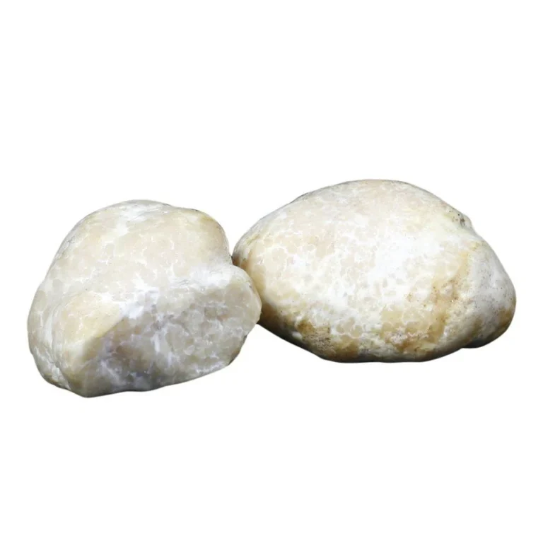 Honey Truffle, Fresh