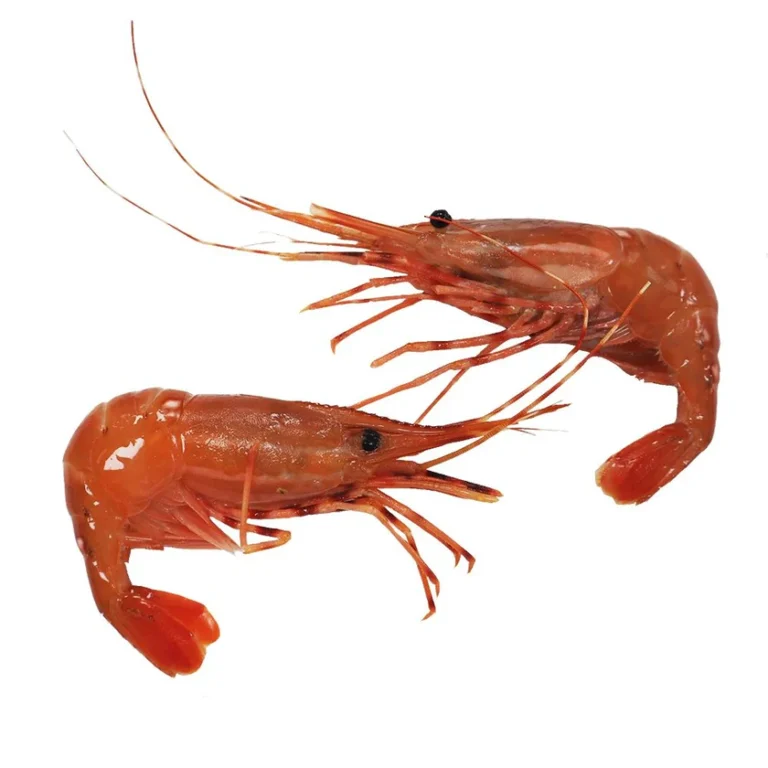 Botan Ebi Wild Spot Prawns, Sashimi, Frozen, 500g
