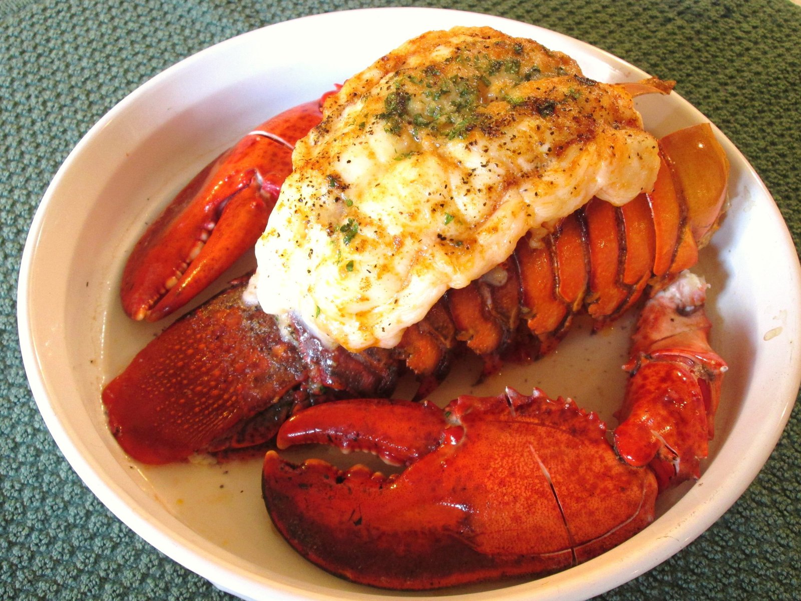 lobster buy